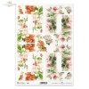 pigwa, pigwowiec, koniczyna, koniczynka, łąka, ogród, kwiat, kwitnąca jabłoń, wiosna, R860, quince, quince tree, clover, meadow, garden, flower, blossoming apple tree, spring, Quitte, Quittenbaum, Klee, Klee, Wiese, Garten, Blume, blühender Apfelbaum, Frü